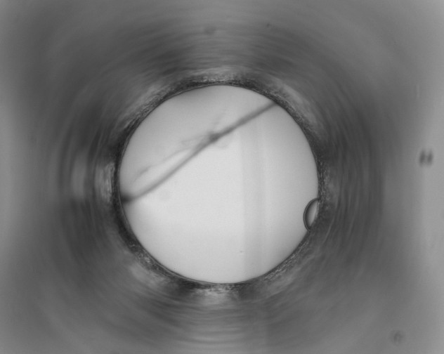 X0000094080118200711091224