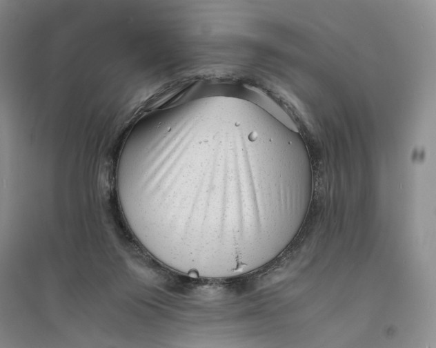 X0000094080119200711091224