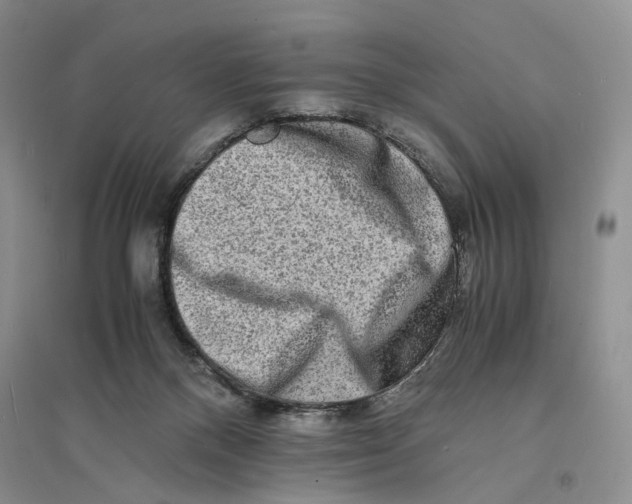X0000094080120200711091224