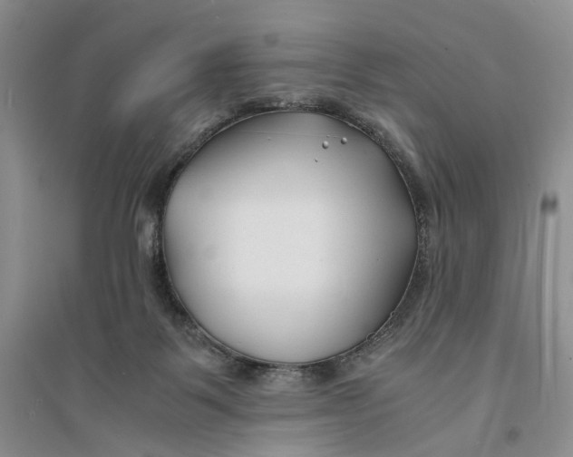 X0000094080123200711091224