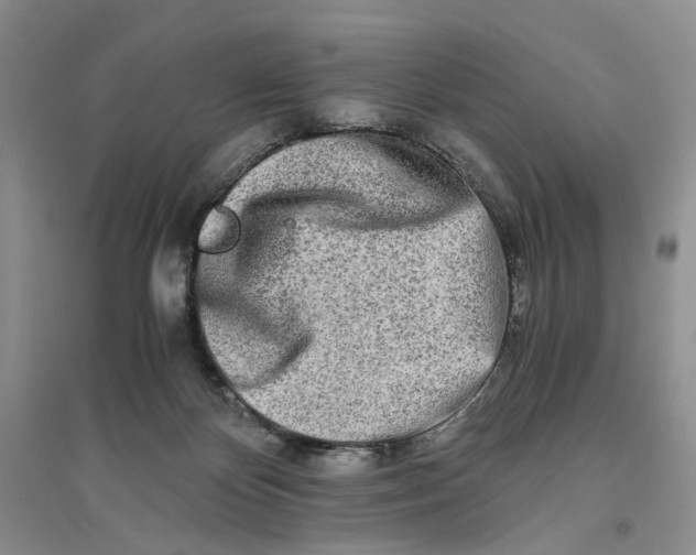 X0000094080124200711091224