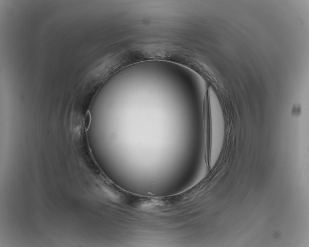 X0000094080125200711091223