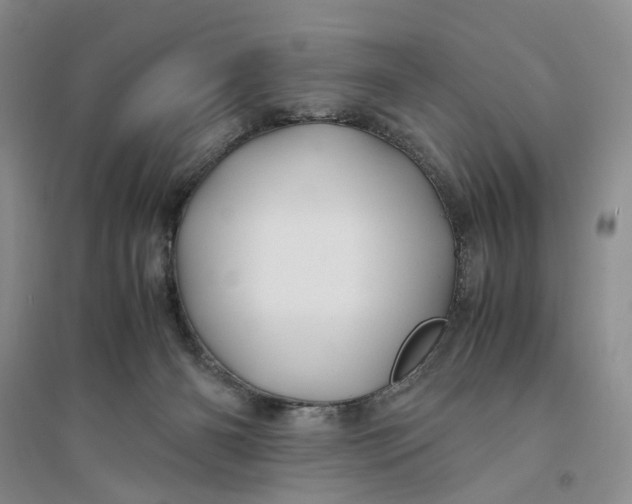 X0000094080126200711091223