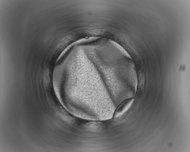 X0000094080128200711091223
