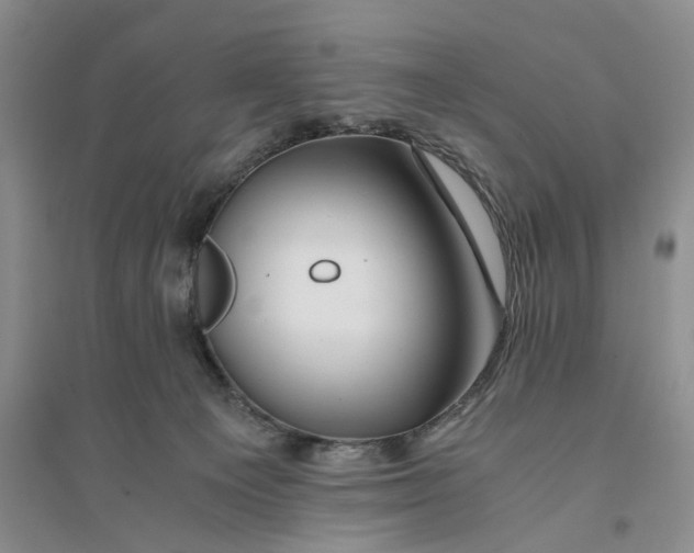 X0000094080129200711091223