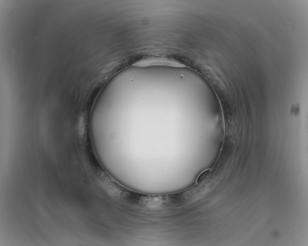 X0000094080131200711091223