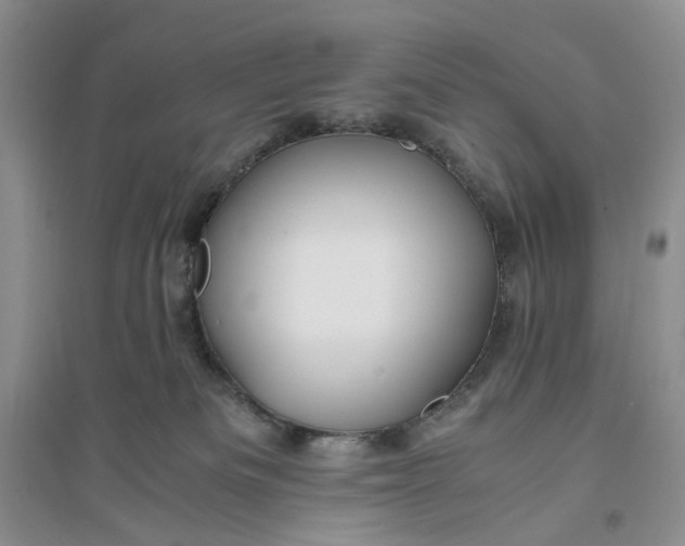 X0000094080133200711091223