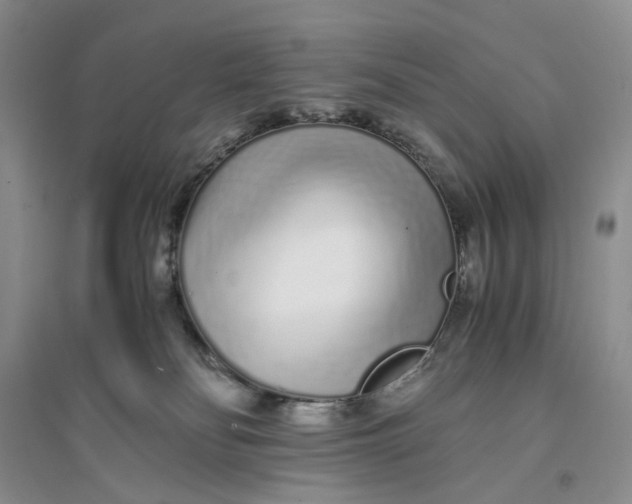 X0000094080134200711091223