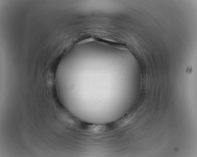 X0000094080135200711091223