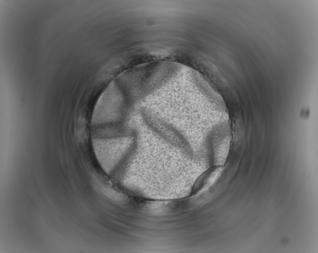 X0000094080136200711091223