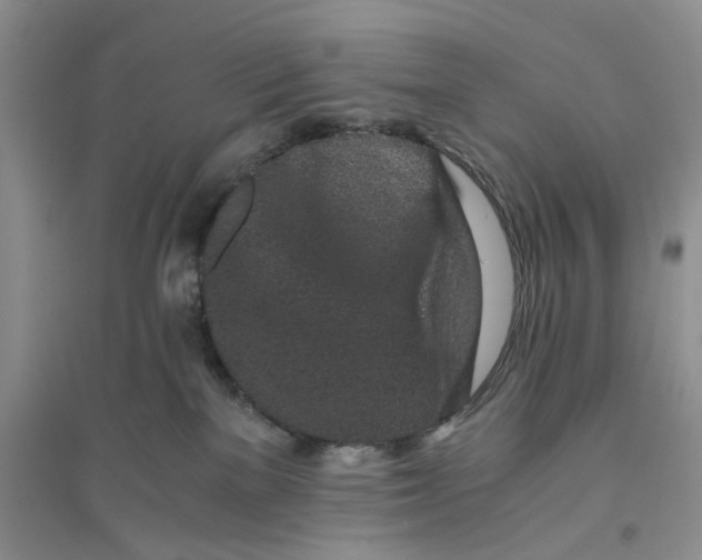 X0000094080137200711091223