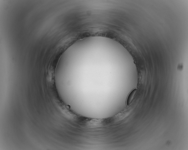X0000094080138200711091223