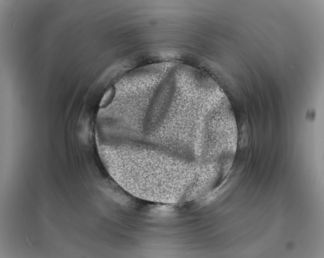 X0000094080140200711091223