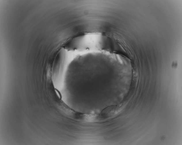 X0000094080143200711091223