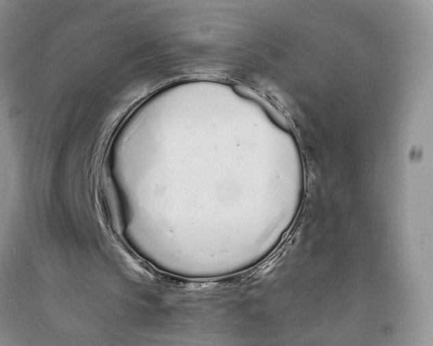 X0000094080145200711091223