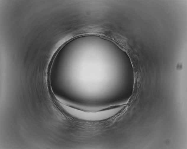 X0000094080148200711091223