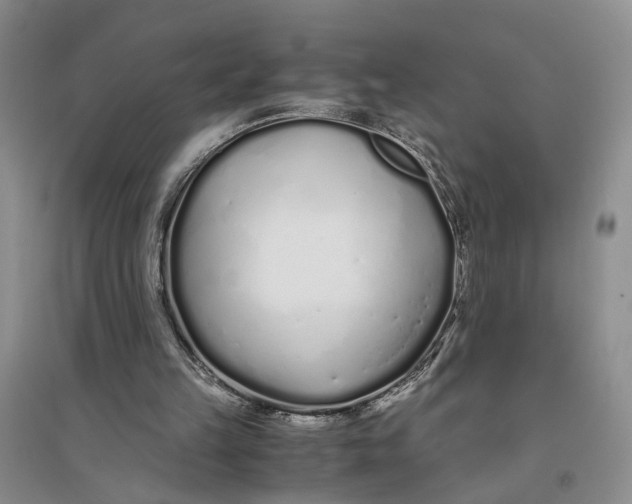 X0000094080149200711091223