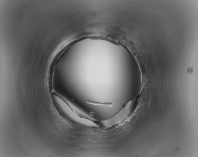X0000094080150200711091223