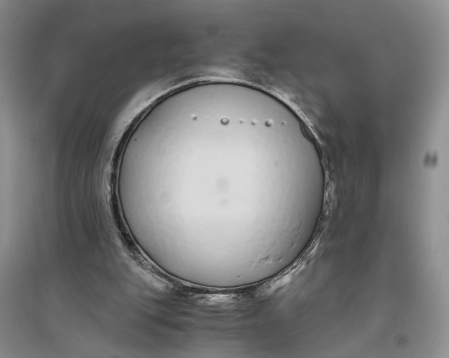 X0000094080151200711091223