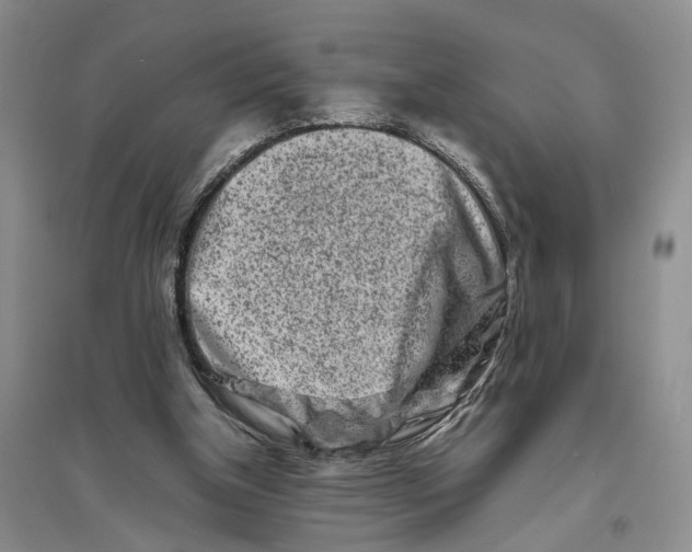 X0000094080154200711091223