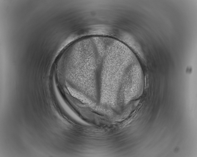 X0000094080156200711091223