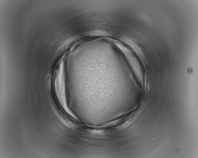 X0000094080157200711091223