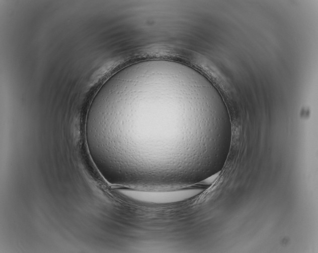 X0000094080158200711091223