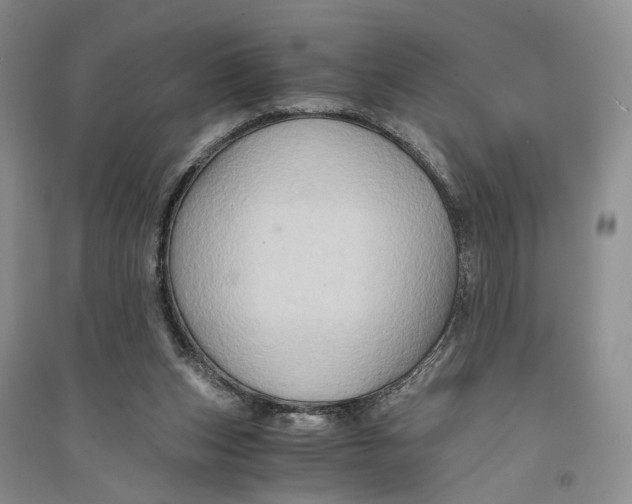 X0000094080159200711091223
