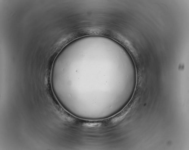 X0000094080161200711091223