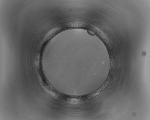 X0000094080163200711091223