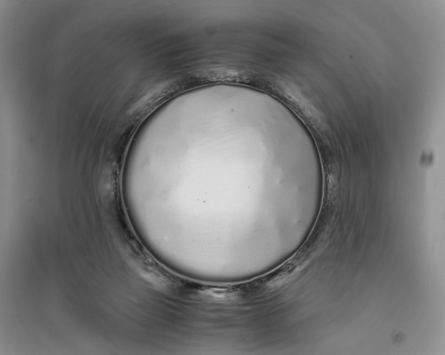 X0000094080165200711091223