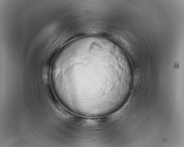 X0000094080166200711091223