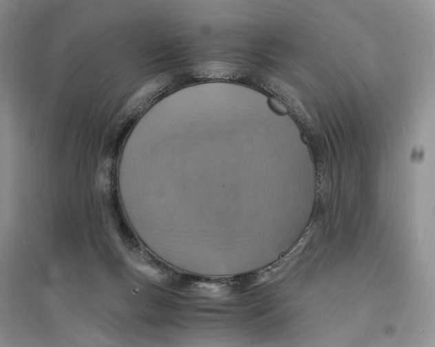 X0000094080167200711091223
