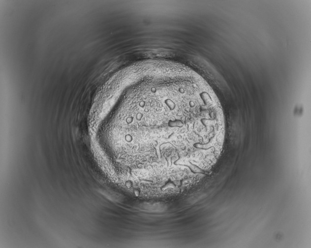 X0000094080169200711091223