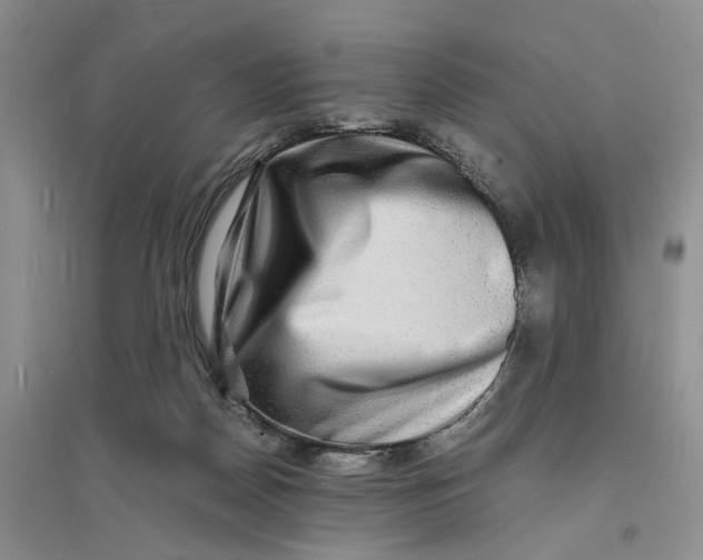 X0000094080170200711091223