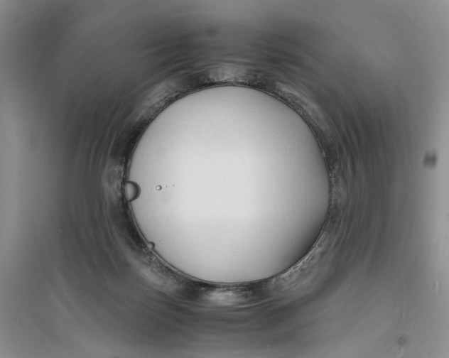 X0000094080171200711091223