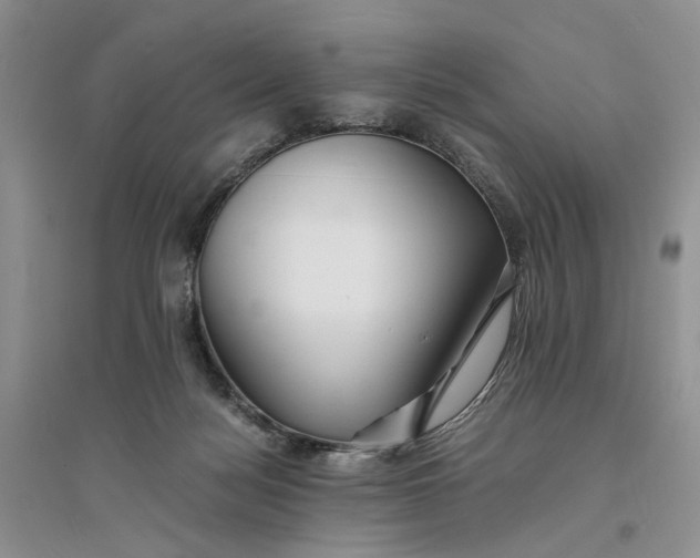 X0000094080172200711091223