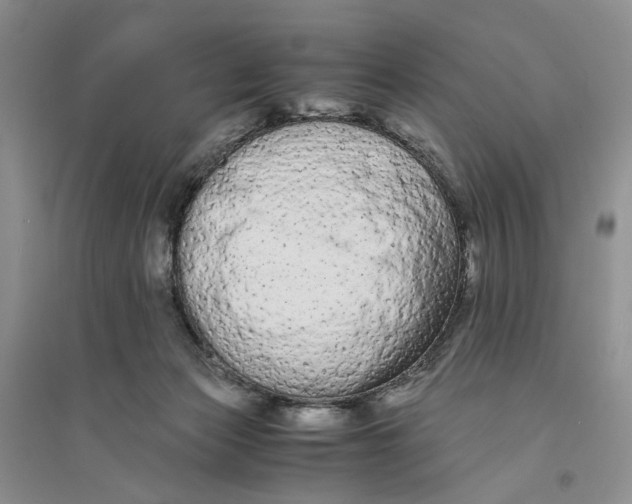 X0000094080173200711091223