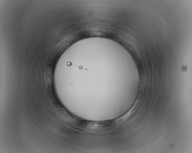 X0000094080174200711091223