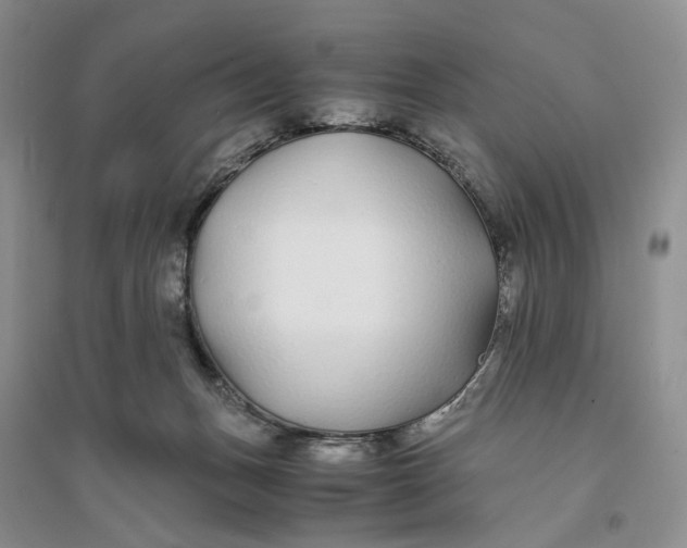 X0000094080175200711091223