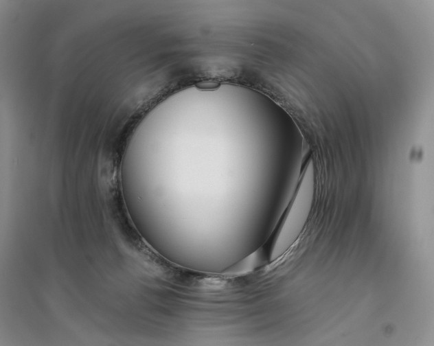 X0000094080176200711091223