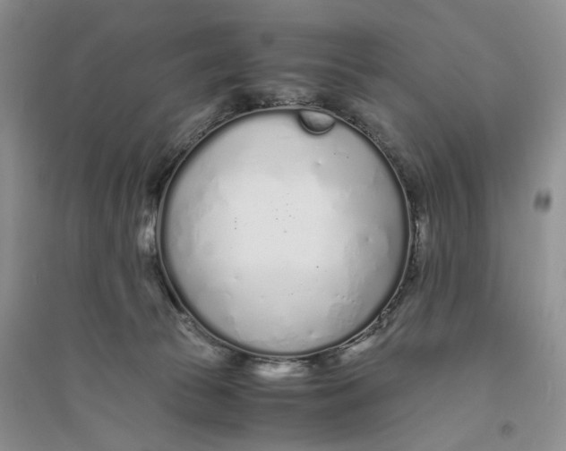 X0000094080177200711091223