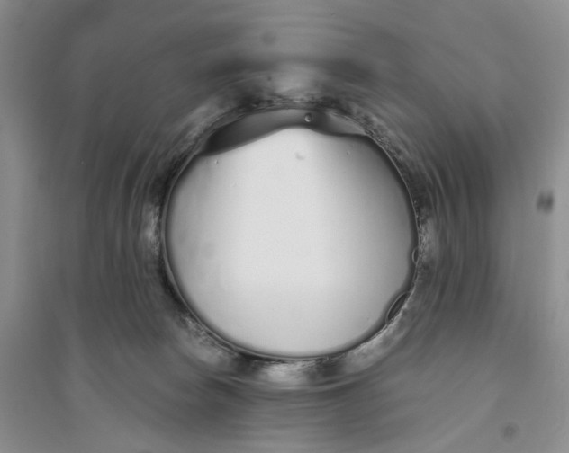 X0000094080178200711091223