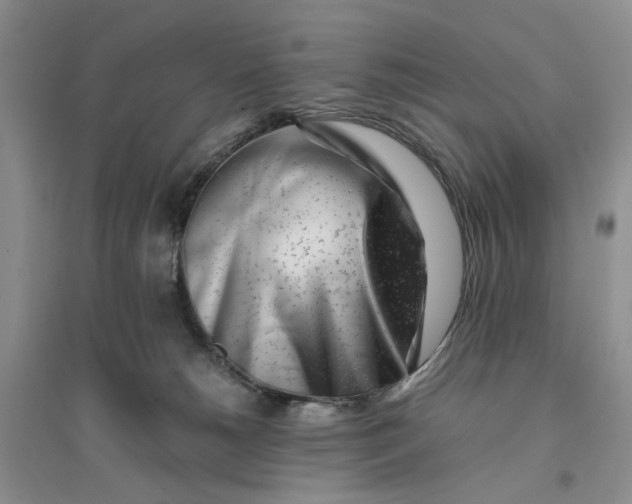 X0000094080180200711091223