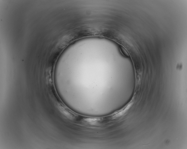 X0000094080182200711091223