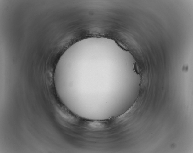 X0000094080183200711091223