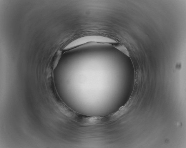 X0000094080184200711091223