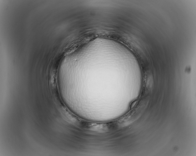 X0000094080185200711091223