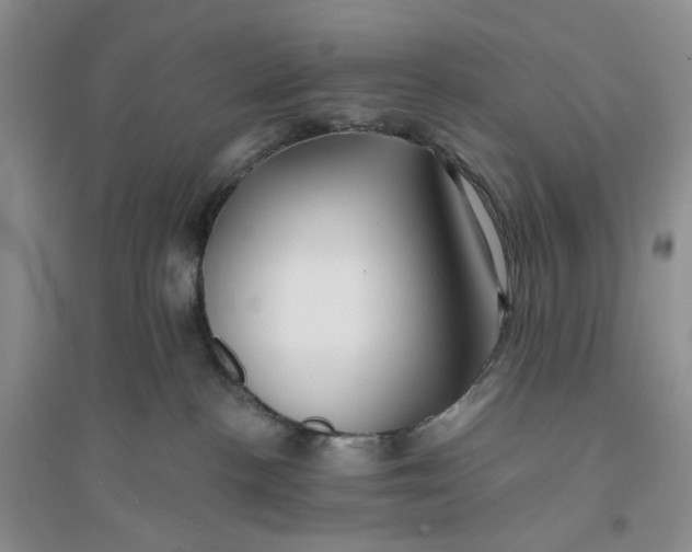 X0000094080188200711091223