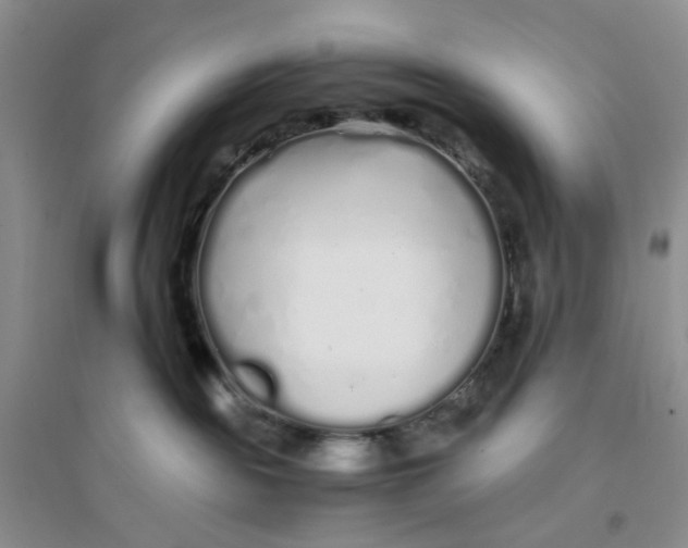 X0000094080189200711091223